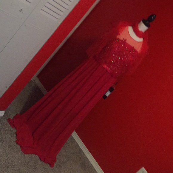 2XL - Picture 5 of 8